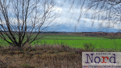 Działka Sprzedaż Augustów Rajgrodzka