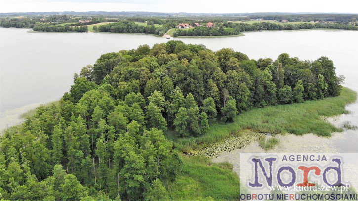 Działka Sprzedaż Gorło 23