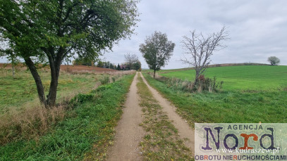 Działka Sprzedaż Marynowo