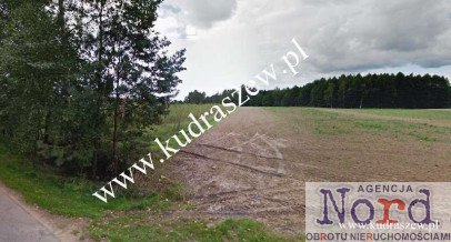 Działka Sprzedaż Kolnica