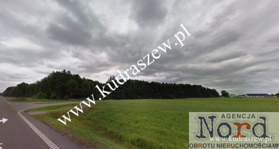 Działka Sprzedaż Kolnica