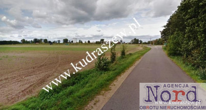 Działka Sprzedaż Kolnica